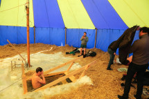 Мега-палатка Век d 10